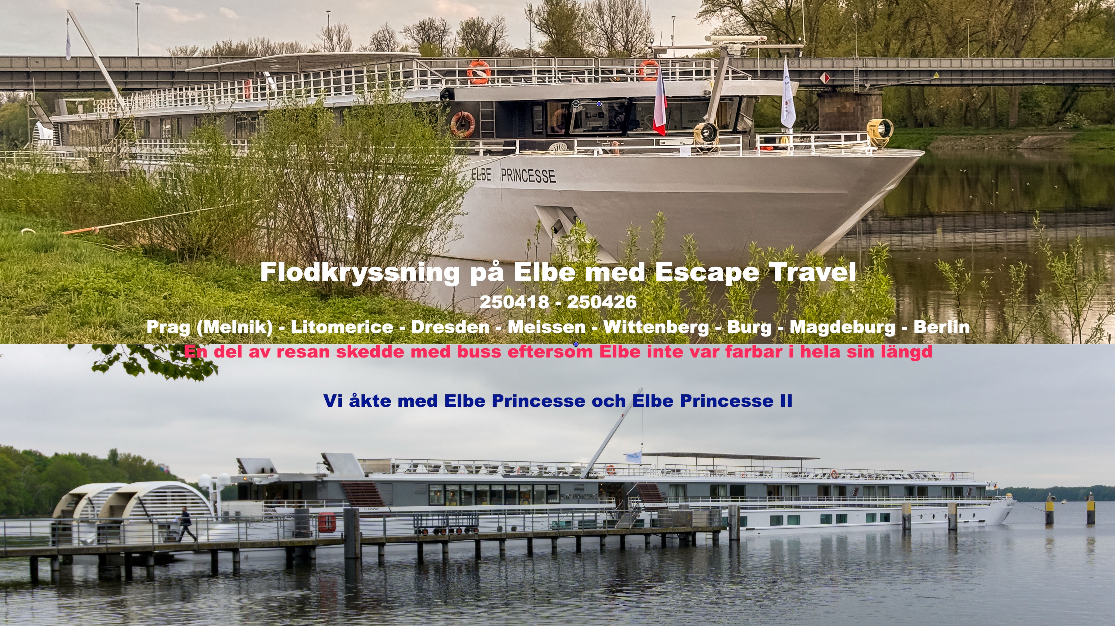 Thumbnail Alt Tag